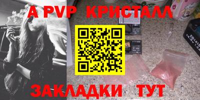 стафф Бердск