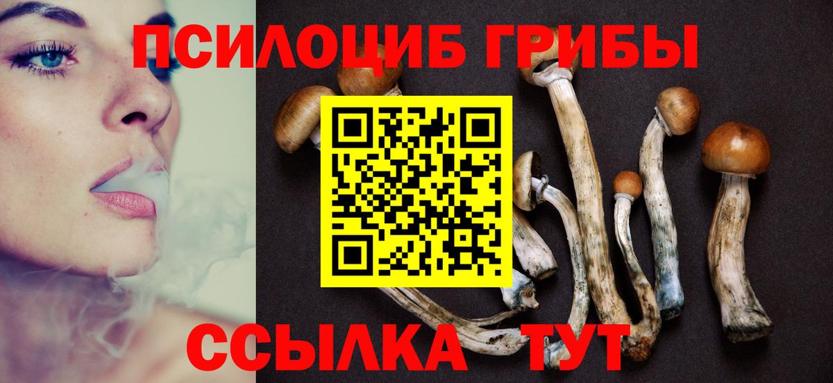 Псилоцибиновые грибы Psilocybe Богданович